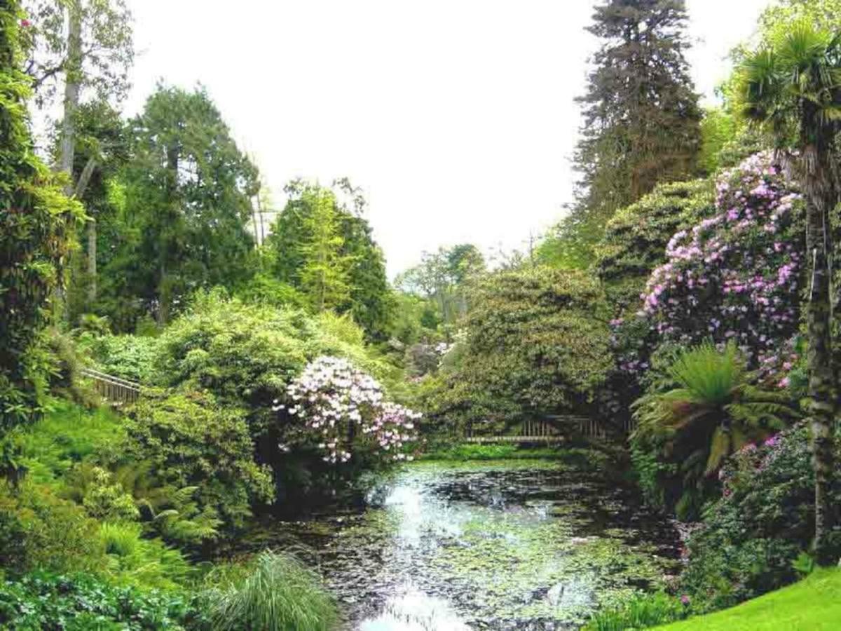 شقة بار  في The Glen المظهر الخارجي الصورة